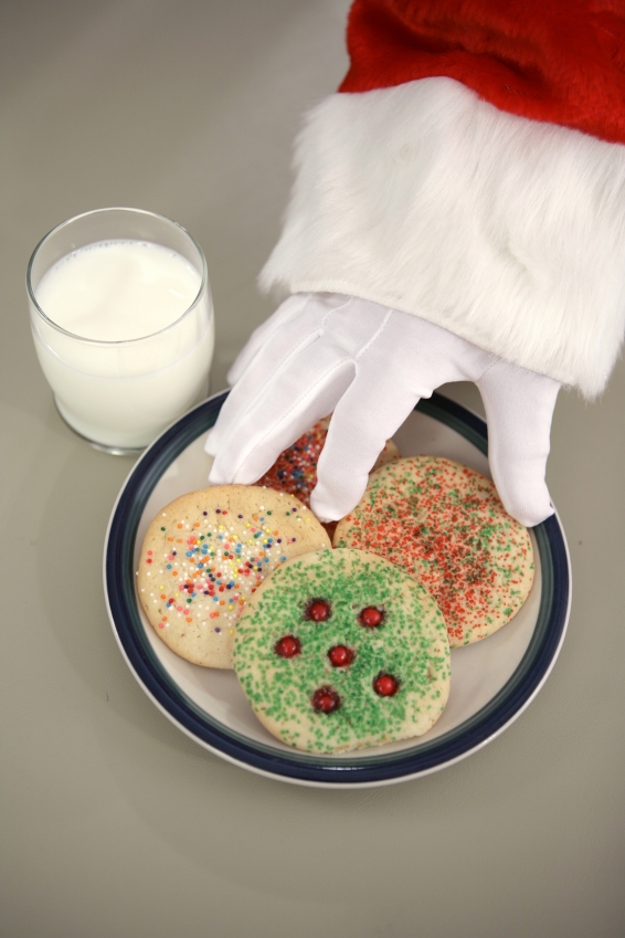 Image result for Santa's cookies