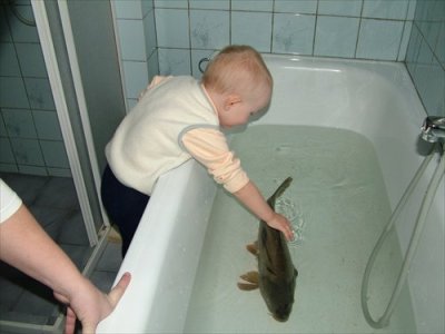 And this carp thought he was just getting a new friend.